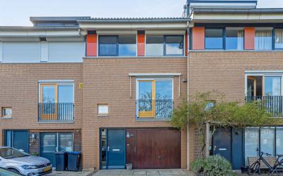 Goudpluvier 23