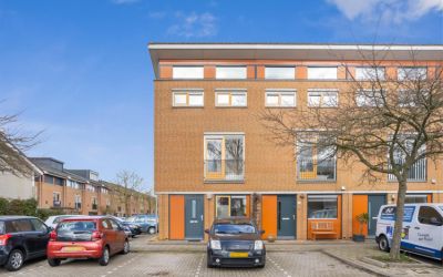 Goudpluvier 69