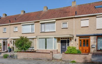 Zilvermeeuw. 19