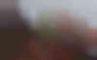 Dril 8
