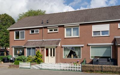 Naarder Hop 5