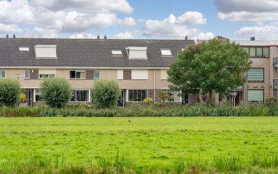 Zilverijzer 13