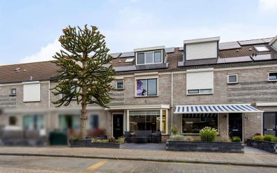 Bergmolen 8