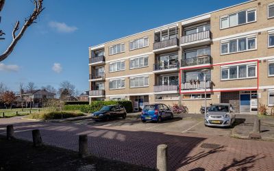 Populierenl. 311