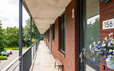 Windestraat 156