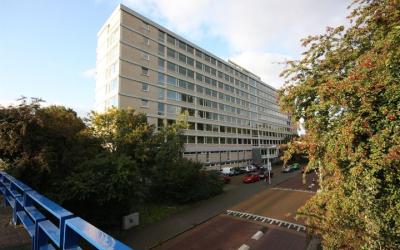 Bos en Vaar. 80