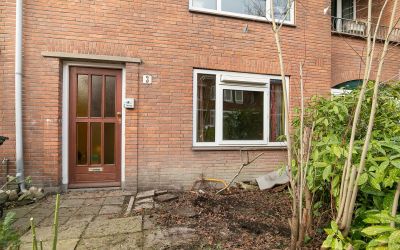 Berkenrodel. 3-HS