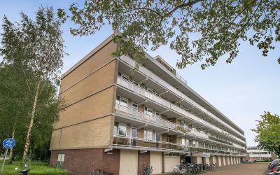 Hoeksewaard 67