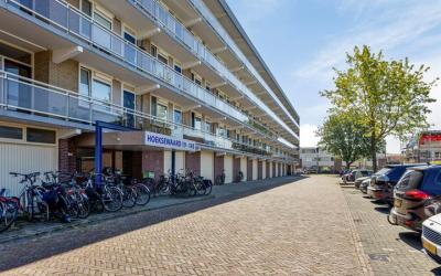 Hoeksewaard 95