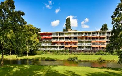 Biesbosch 65