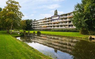 Biesbosch 71