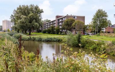 Biesbosch 139