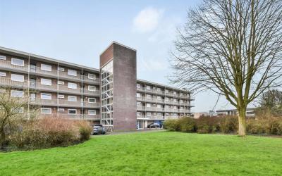 Bijdorp 29