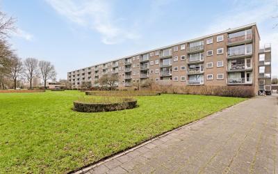 Bijdorp 47