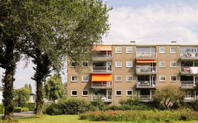 Bijdorp 53