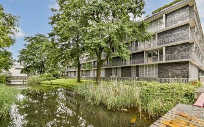 Stadstuinen 45