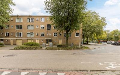 Meander 203