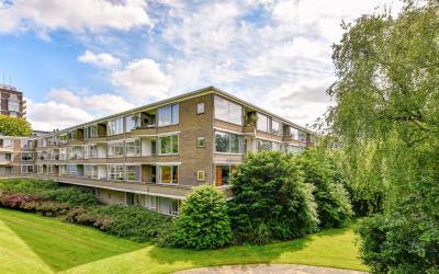 Meander 293