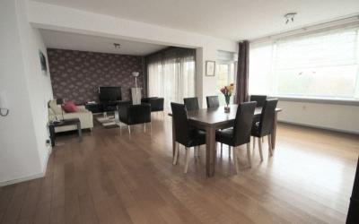 Meander 353