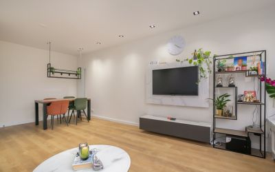 Meander 475