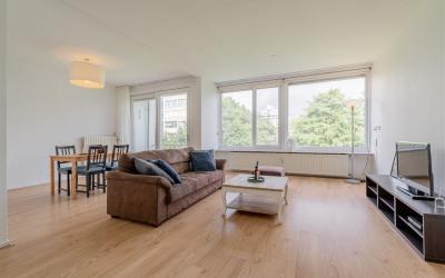 Meander 515