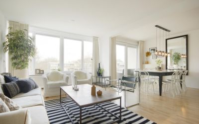 Meander 517