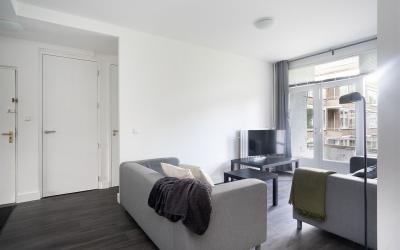 Meander 543