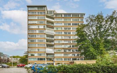 Meander 607