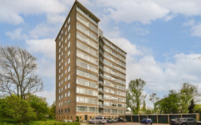 Meander 833