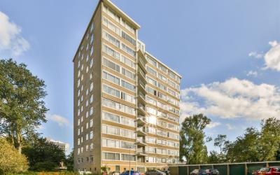 Meander 845