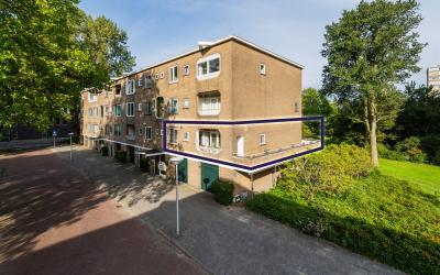 Meander 881