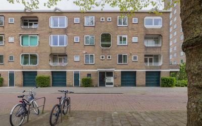 Meander 891