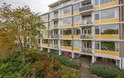Maarten Lut. 119