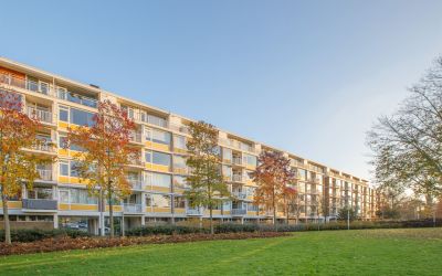 Maarten Lut. 231