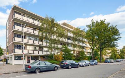 Maarten Lut. 285