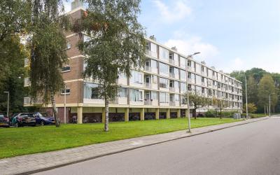 Maarten Lut. 54