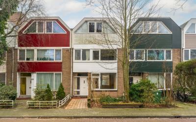 Maarten Lut. 124
