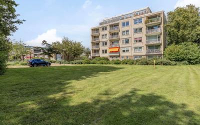 Maarten Lut. 258