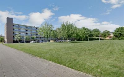 Zwingliweg 21