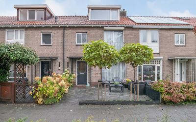 Van Maasdij. 8