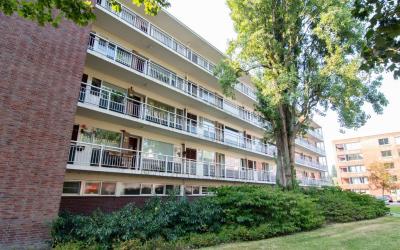 Lindenlaan 547