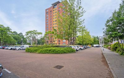 Fluweelboom. 1