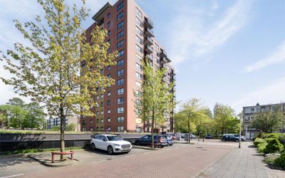 Fluweelboom. 37