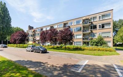 Pruimenlaan 46