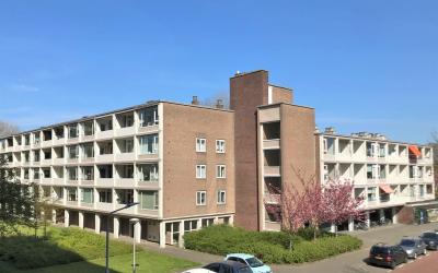 Populierenl. 211