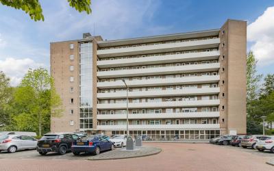 Populierenl. 501