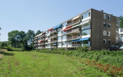Populierenl. 561