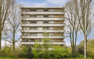 Vesuvius 22