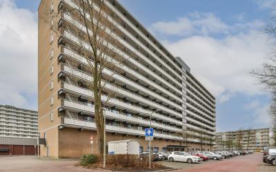 Groenhof 6