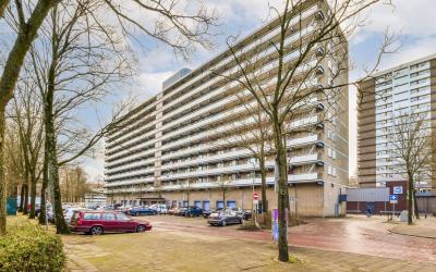 Groenhof 47